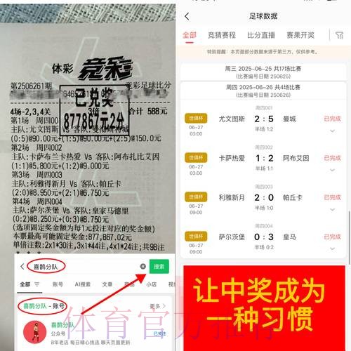 全面解析世界杯下注平台的选择与推荐
